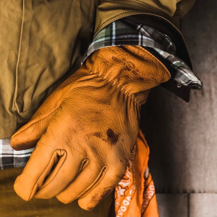 Gloves